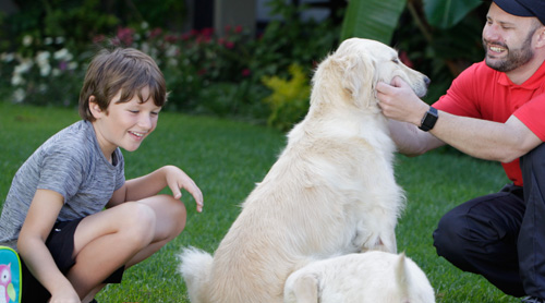 Playing with dogs