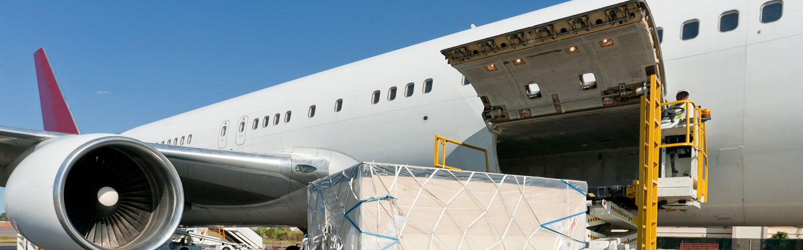 Plane with open cargo door being loaded